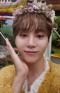 MINI11 專輯卡 ｜PM214 ver. 花環寛