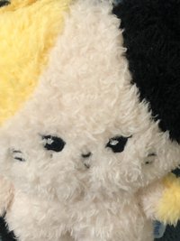 下輩子當沈泉銳的狗