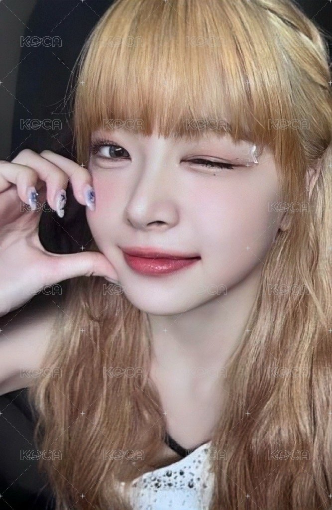 23‘亞巡 演唱會 DVD / CD 卡  正面