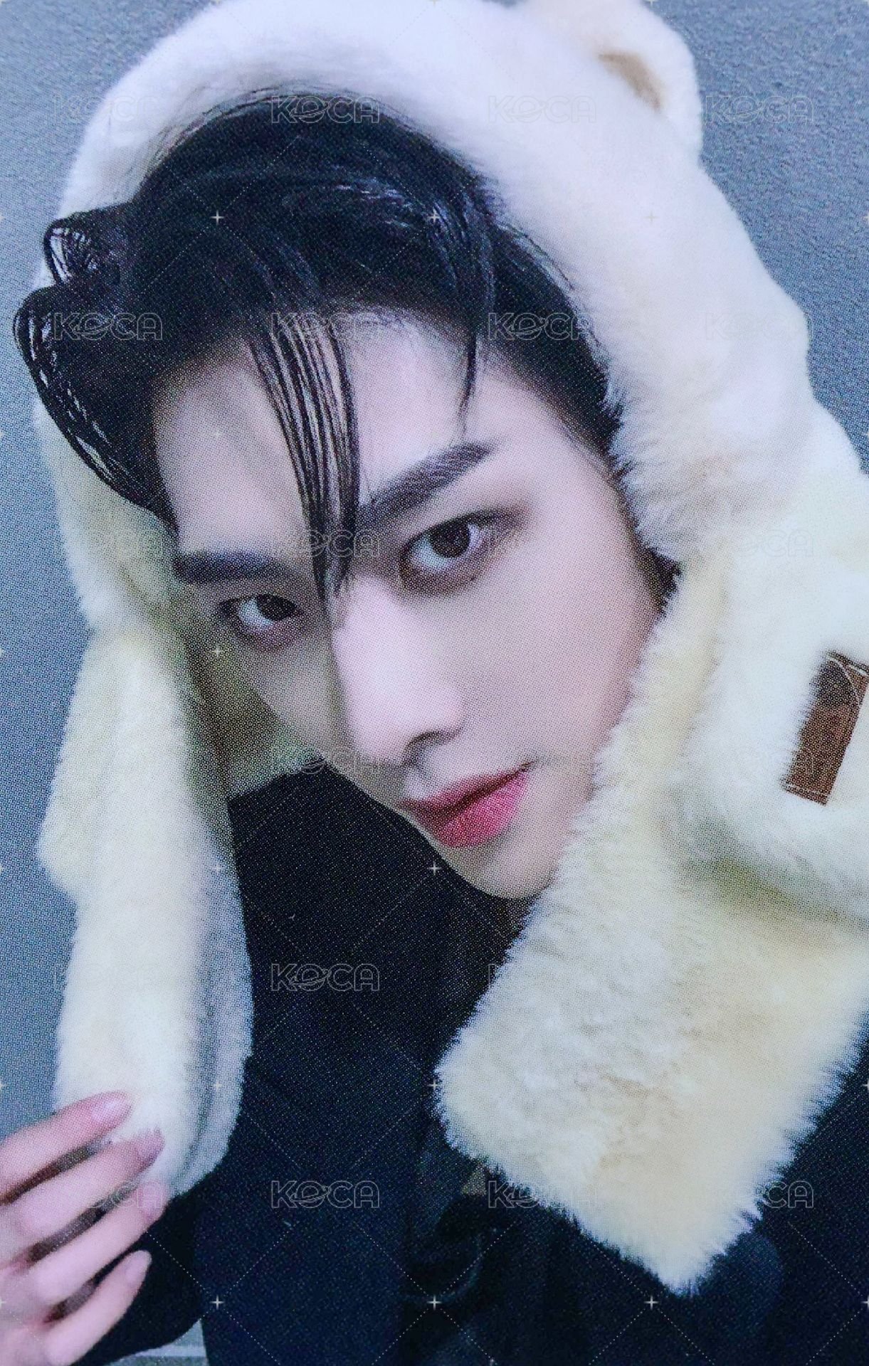 迷五 am 6.0 簽售卡 小熊帽子 ver. 正面