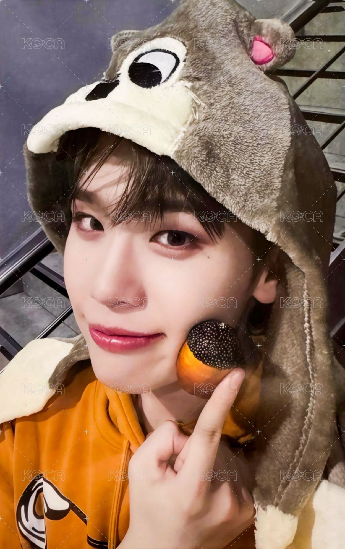 迷二 ms 幸運卡 松果 ver. 正面