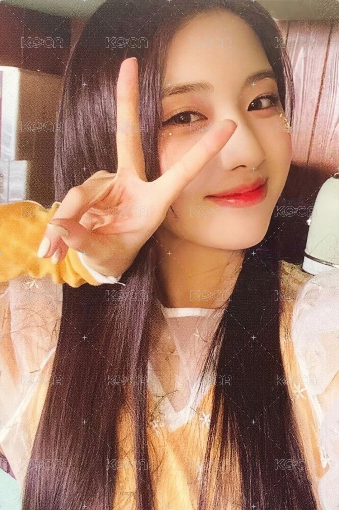 AD MARE 專輯卡 普版友 正面