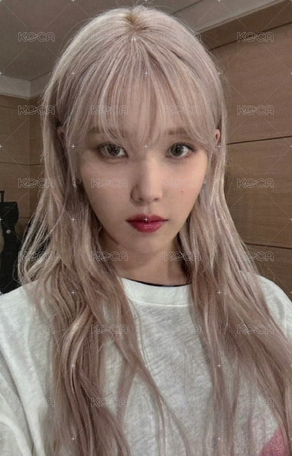 The Winning 專輯卡 Tweety!特別版 正面