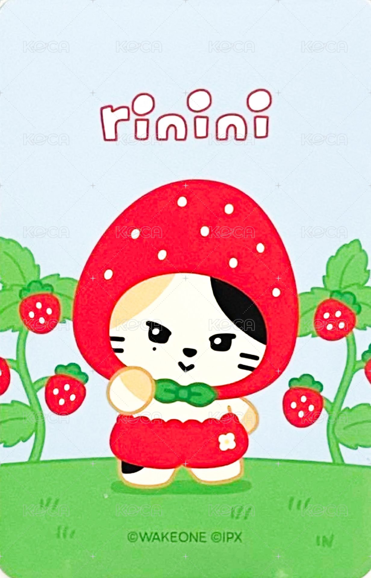 zeroni 水果 滿額卡  背面