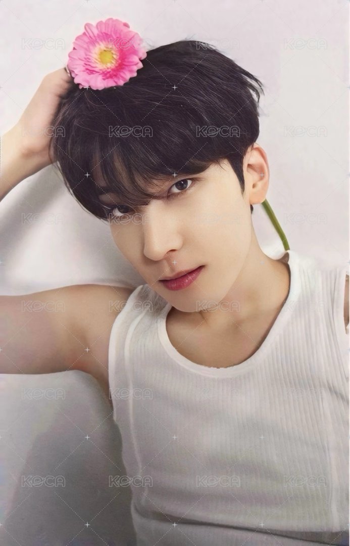 精選專 專輯卡 精選輯｜CARAT ver. 正面