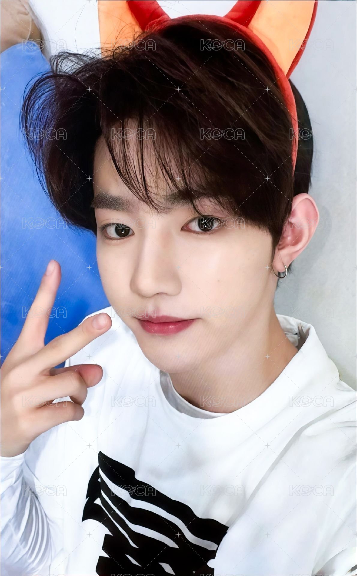 迷四 am 1.0 特典卡 狐狸髮箍 ver. 正面