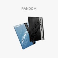 HOSHIXWOOZI 日咖 專輯 