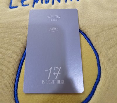 17 is right here here ver. mingyu