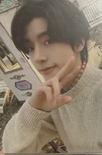 FATE+ 周邊卡 美巡衛衣卡