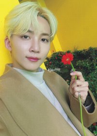 POL 專輯卡 聖誕卡