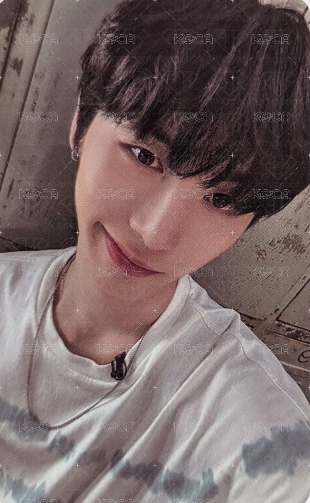 19.99 wvs 單封版 直播卡 4 正面