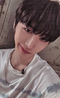 19.99 wvs 單封版 直播卡 4