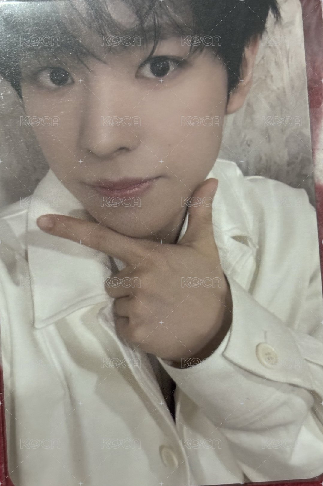 poppop mumo 特典卡  正面