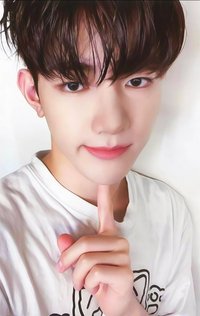 迷二 wm 特典卡 熱狗 ver.