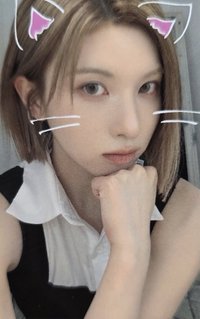 正規一 am 1.0 幸運卡 動物EMOJI