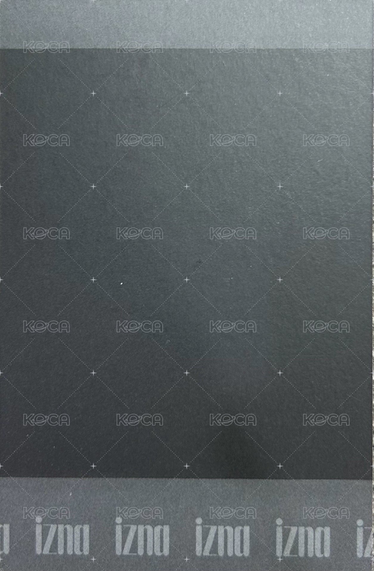 迷一 專輯卡 iz ver. 拍立得 背面