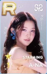 單一 遊戲卡 2025夏日 正面