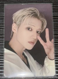 一隻比耶白西裝小貓