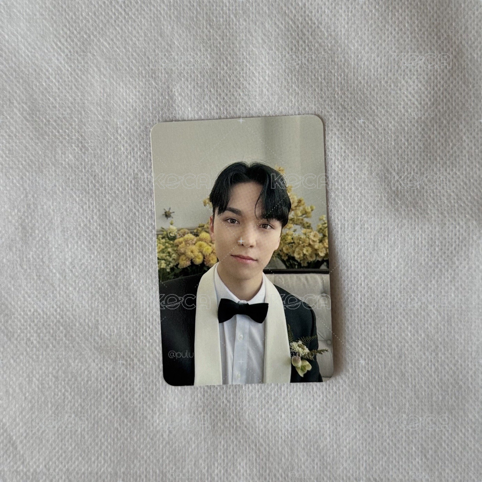 SEVENTEEN MINI10 克拉盤專卡|Vernon🐻❄️
