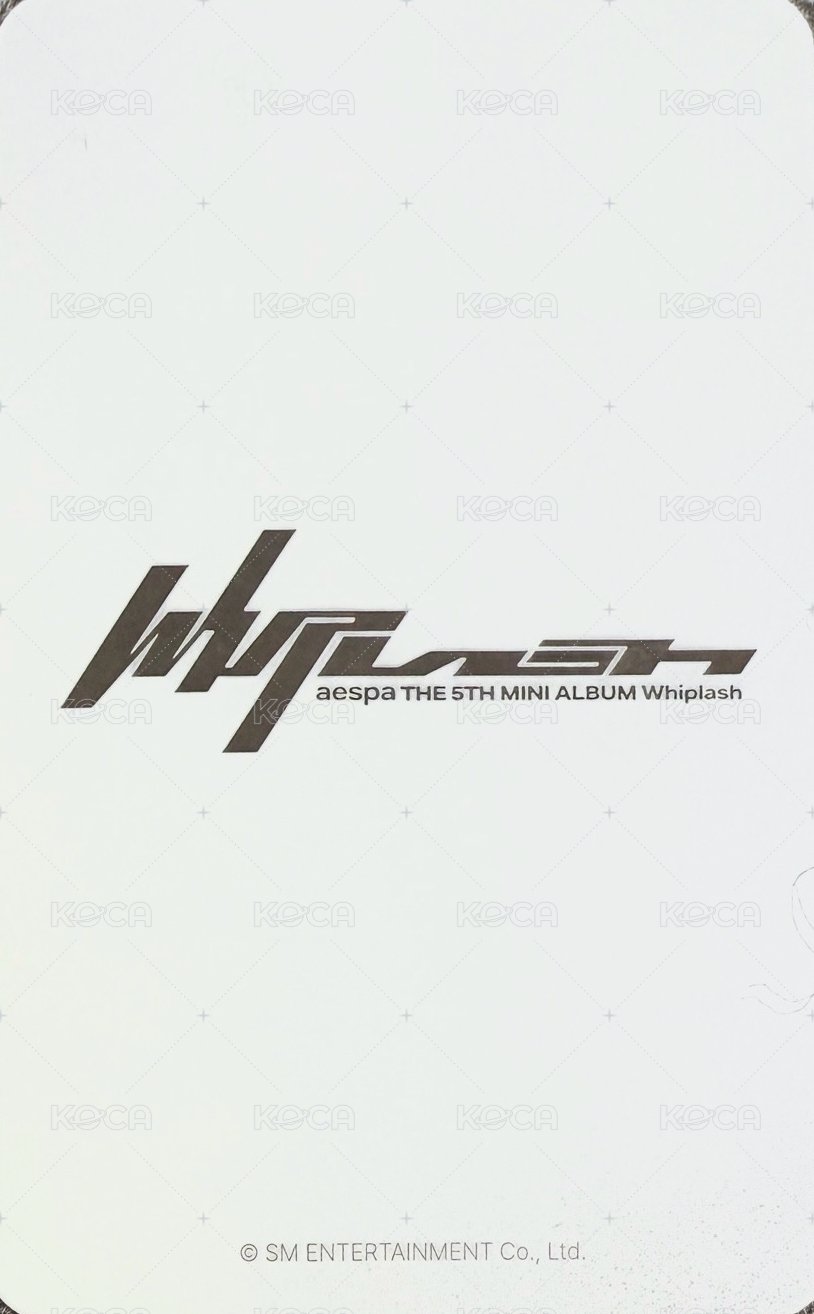 Whiplash el 幸運卡 幸運柚 背面