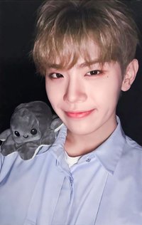 迷二 oy 特典卡 微笑章魚 ver.