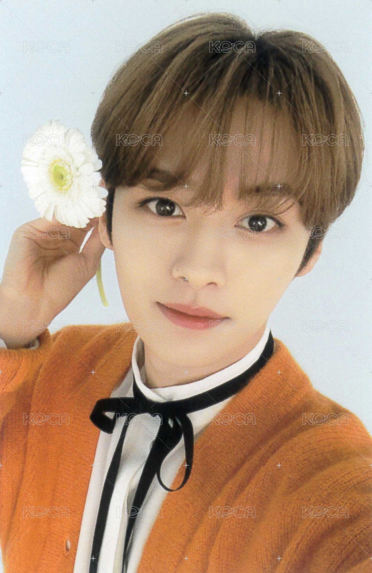 NACIFIC 代言卡 10.0 正面