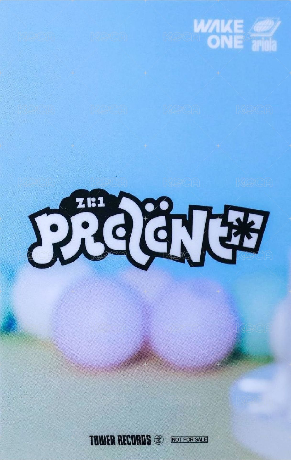 PRESENT  塔店 特典卡  背面