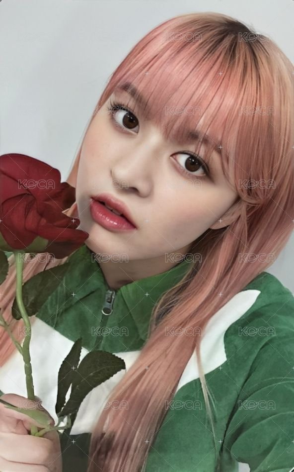 expérgo ms 6.0 簽售卡 玫瑰 正面