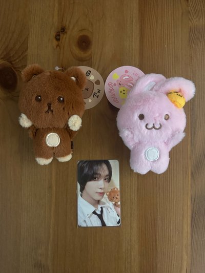 楷燦渽民快閃娃盤