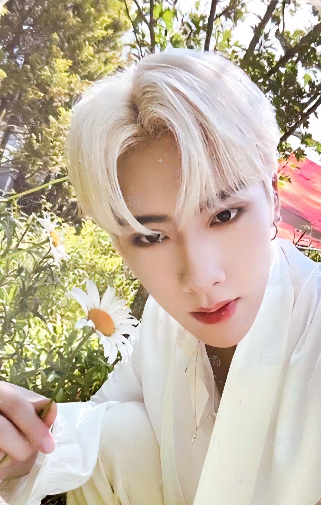 迷一 專輯卡 SHADE ver. 正面