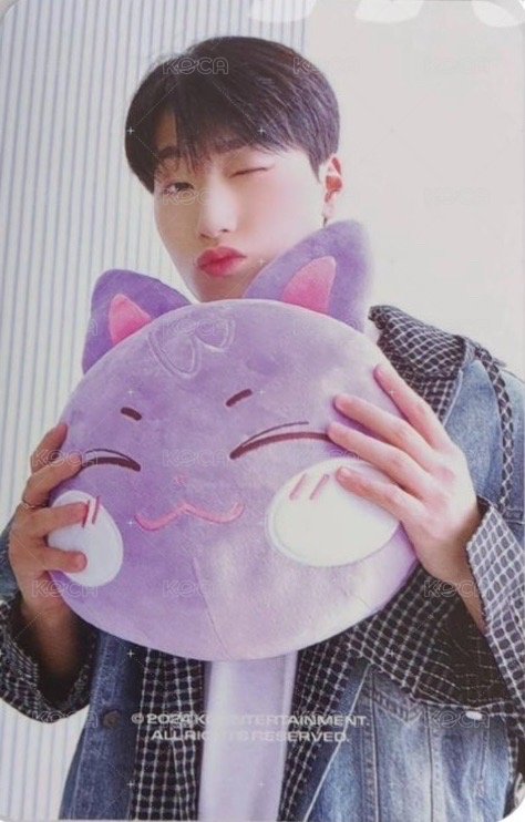 ANITEEZ IN ICE CITY 周邊卡 plush cushion 背面