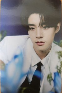 WTL FINAL wvs 隨機卡 倫01/08 官拍卡