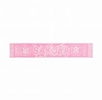 一巡 圍巾 日巡