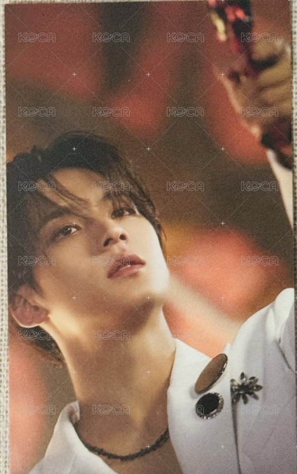 正四 環球 入場卡 / 場限卡 火炬奎 正面