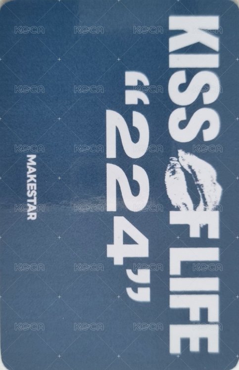 224 ms 線下1.0 簽售卡 寵物鏡頭 背面