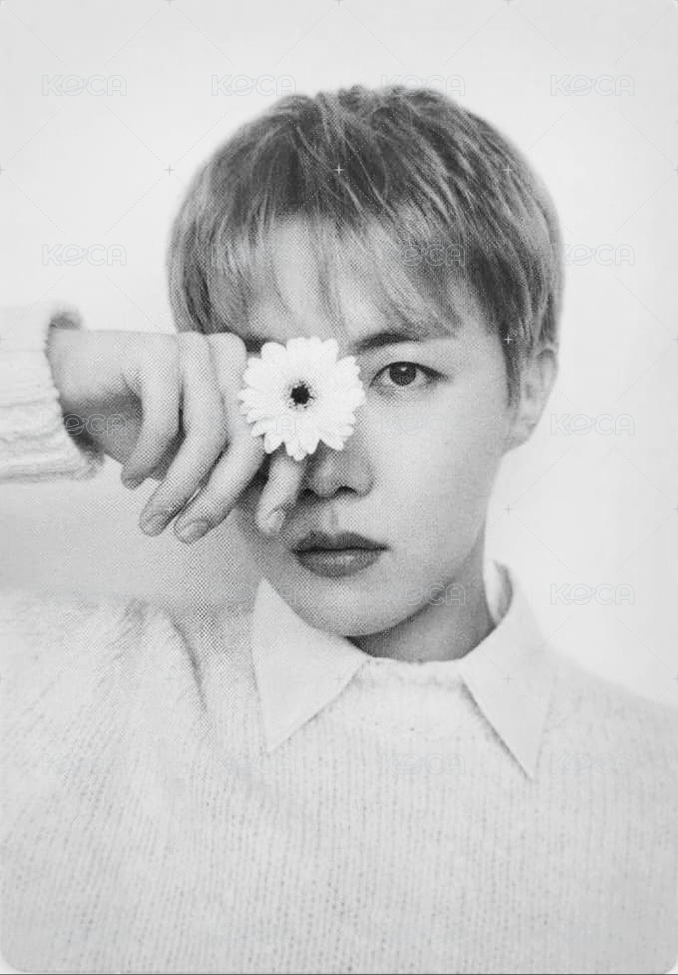 MNCR展 隨機卡 (1/6) 正面