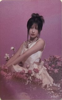 #menow wvs 專輯卡 