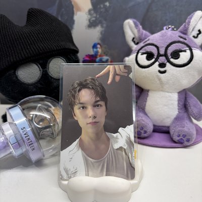 🐻‍❄️瀚率VERNON｜MINI12｜wvs｜PB ver｜特典卡 ｜迷12