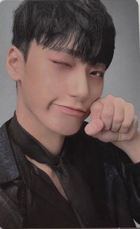 Paradigm 專輯卡 通常盤