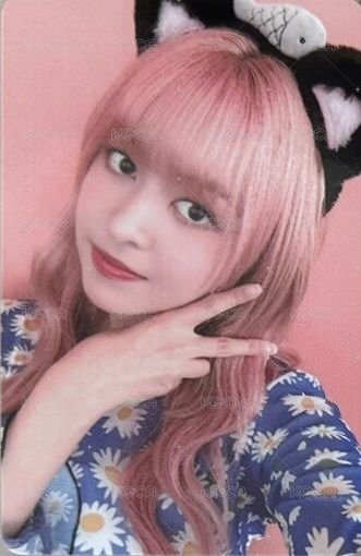 仲夏夜 wm 線下 3.0 簽售卡 小貓莉 正面