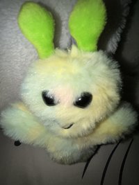 han👶🏻👶🏻（喊/下單前可以先看一下主頁噢）