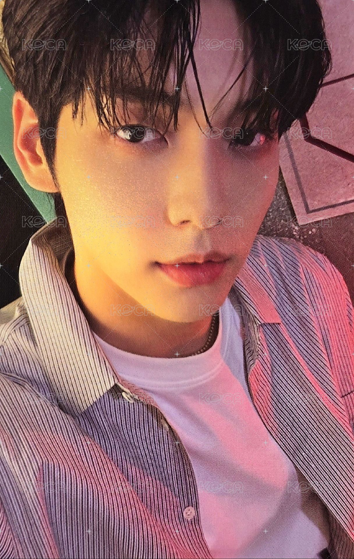 24年曆 年曆卡 卡 崔秀彬 正面