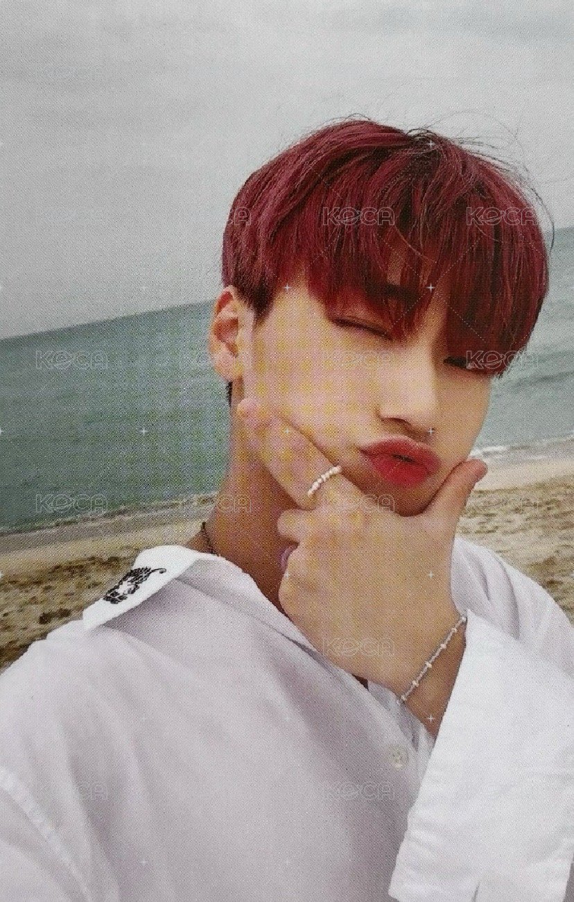 FEVER pt.3 專輯卡 Diary ver. Limited 正面