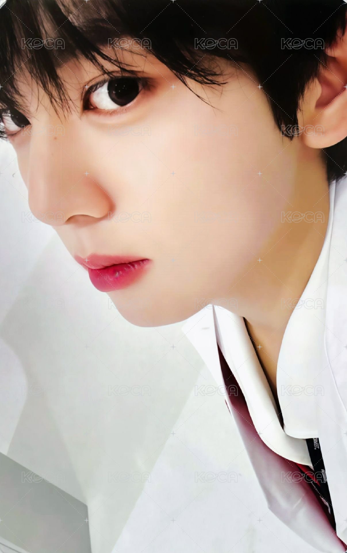 MEDIPEEL 代言卡 2.0 正面