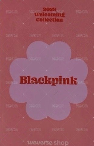 2022年曆 wvs 特典卡  背面