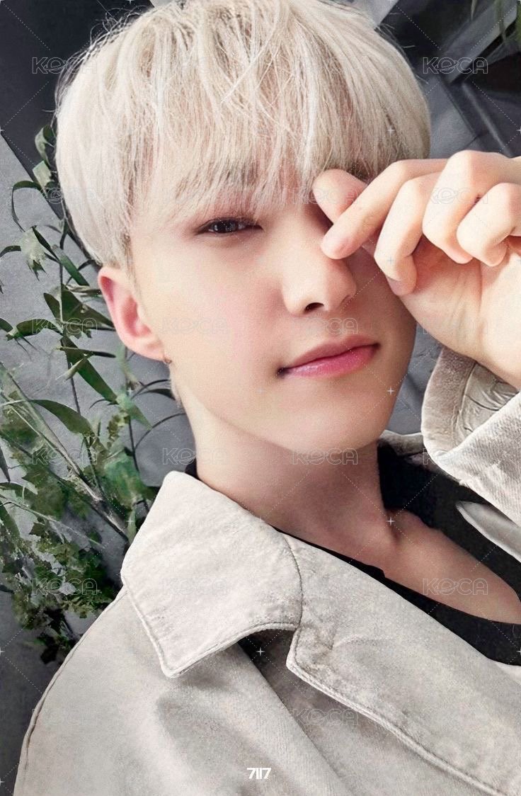 消費期限 專輯卡 通常盤 正面