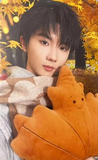 秋日記憶 專輯卡 馬嘉祺秋日記憶單固