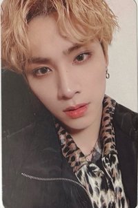 Kick Back 專輯卡 Kit Hitchhiking ver.