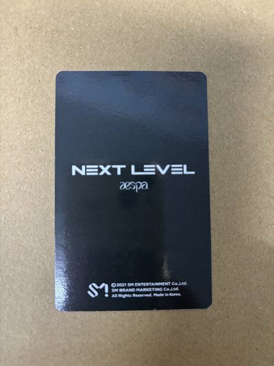 Next Level 周邊卡 冰箱貼柚