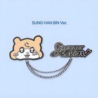 世巡H&N 徽章 